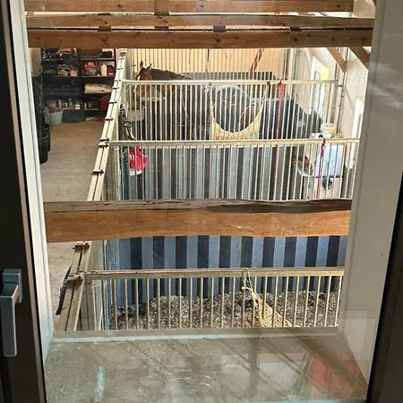 بيت للعطل Casale Di Vito *