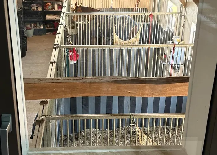 Hébergement de vacances Casalé Di Vito *